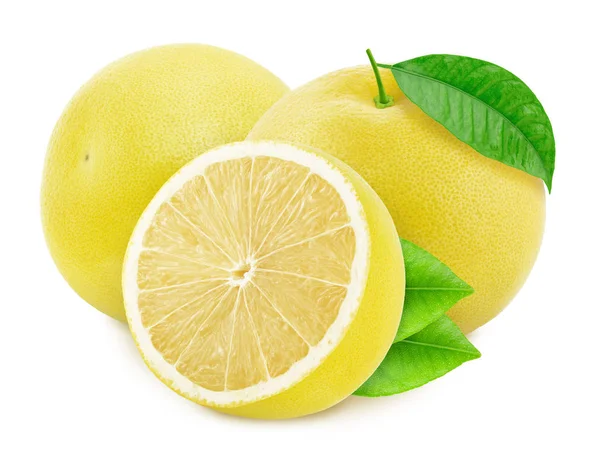 Samenstelling met witte grapefruits geïsoleerd op witte achtergrond. — Stockfoto