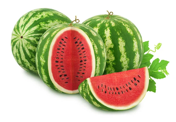 Komposition med utstansade mogna vattenmeloner och lämnar isolerade på vit bakgrund. Som konstruktionselement. — Stockfoto
