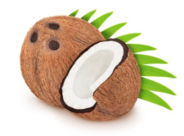 Beyaz arka plan üzerinde izole yaprakları ile hindistan cevizi Grubu.