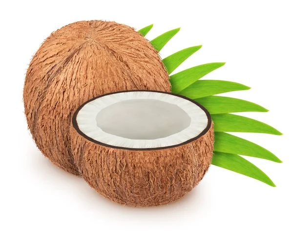 Gruppe von Kokosnüssen mit Blättern isoliert auf weißem Hintergrund. — Stockfoto