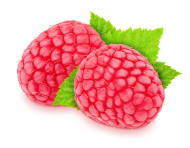 Beyaz arka plan üzerinde izole yaprakları ile Olgun bahçe ahududu.