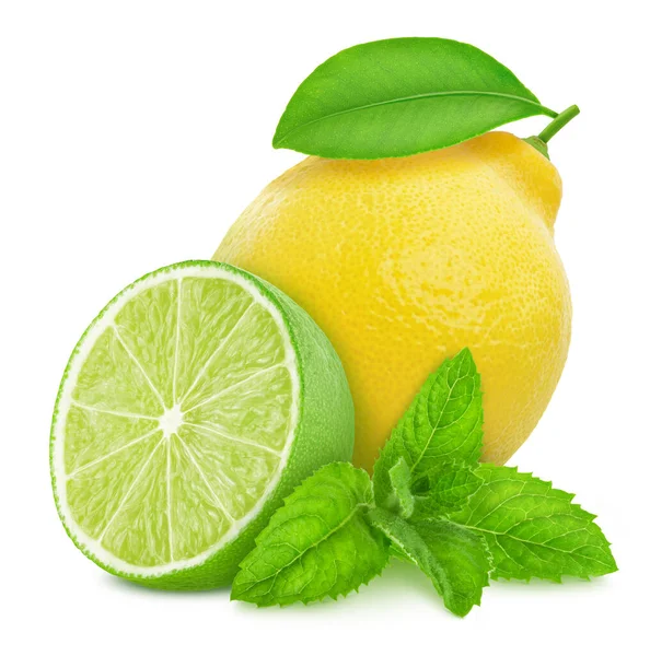 Composition with citrus fruits - lime and lemon isolated on a white background in full depth of field with clipping path. — Stock Photo, Image
