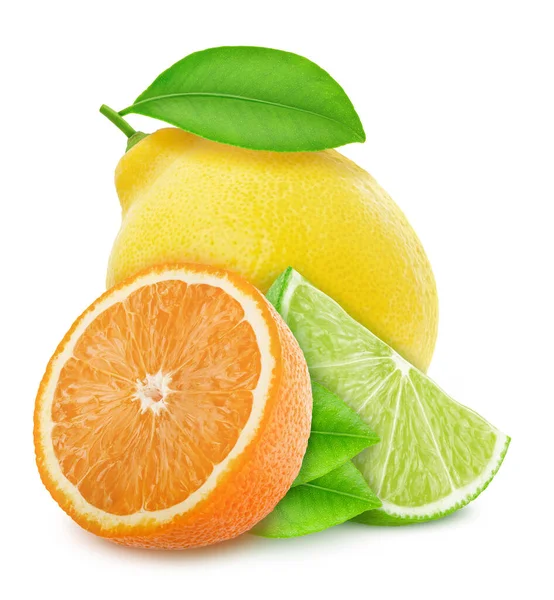 Verschillende citrusvruchten veelkleurige samenstelling geïsoleerd op een witte achtergrond. — Stockfoto