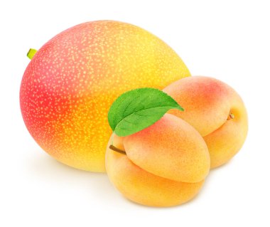 Meyve karışımlı renkli kompozisyon - kayısı ve mango kırpma yolu olan beyaz bir arkaplanda izole edilmiş..