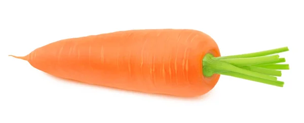 Свіжа ціла морква ізольована на білому тлі . — стокове фото