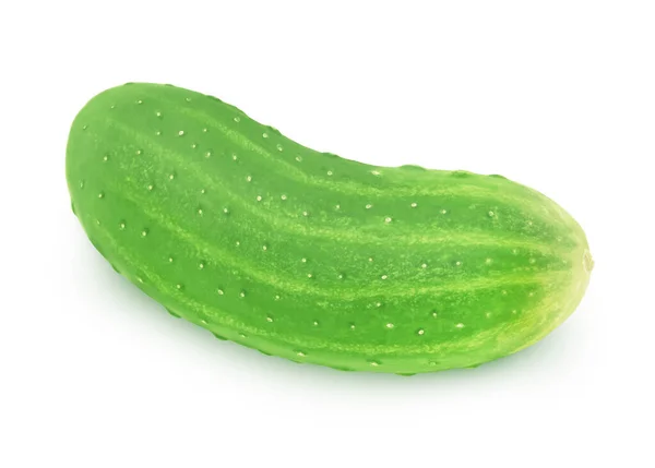 Fresh whole green cucumber isolated on a white background. — Stock Photo, Image