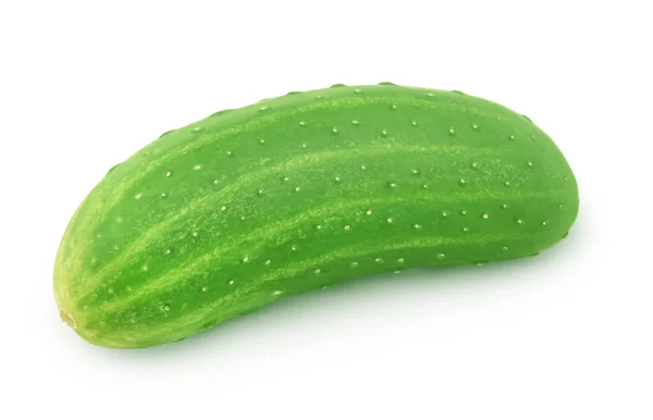 Fresh whole green cucumber isolated on a white background. — Stock Photo, Image