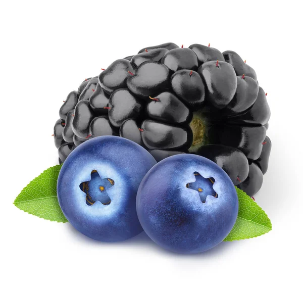 多彩的森林浆果组合-蓝莓和黑莓，背景为白色，有修剪路径. — 图库照片
