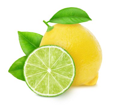 Beyaz arka planda izole edilmiş farklı turunçgil meyvesi bileşimi.