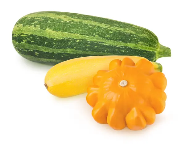 Vegetable composition: squash, marrow, patisson on white background. — Stock Photo, Image