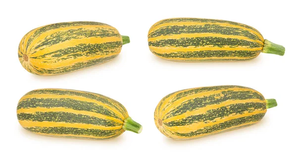 Set of fresh whole yellow vegetable marrow zucchini isolated on a white background. — Stock Photo, Image