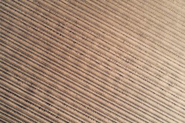 Tarımsal alan doku. Patates yukarıdan çizgili alan sürülmüş. Tarım toprak hava dron görünümü.