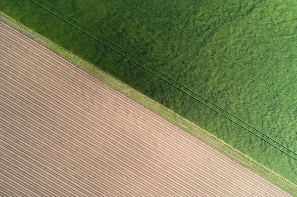 Agrarische Velden Van Bovenaf Half Groen Half Geploegd Luchtfoto Weergave — Stockfoto