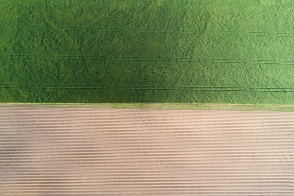 Halb Gesät Grün Und Halb Gepflügt Braunes Feld Luftbild Bodenbeschaffenheit — Stockfoto