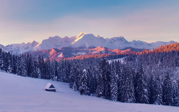 Zimní Scény Úžasné Horské Zimní Krajiny Mrazivé Ráno Tatrách — Stock fotografie