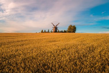 Eski fırıldak günbatımı buğday alanında. Arka plan hasat sonbahar.