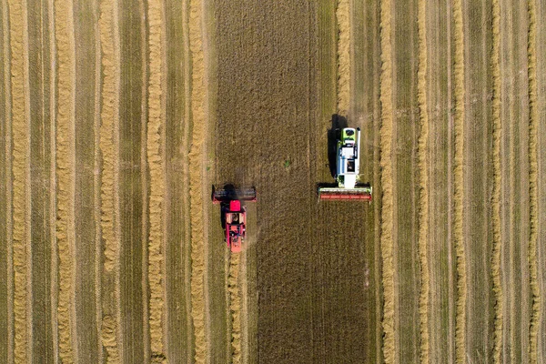 Maszyny Zniwne Tła Koncepcja Rolnictwa Biopaliw Dwa Kombajny Pracujących Polu — Zdjęcie stockowe