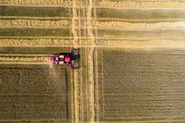 Kırmızı alan üst görünümünde çalışma hasat birleştirin. Alan hasat arka plan. Eko yakıt tarım kavramı.