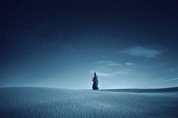 Nacht Landschap Nacht Winter Hemel Met Sterren Besneeuwde Weide Prachtige — Stockfoto