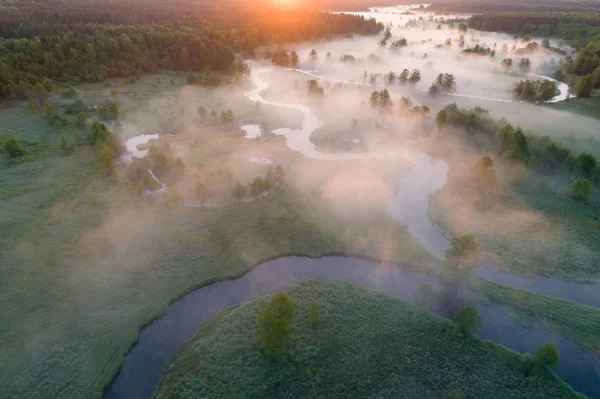 Hava puslu manzara. Yukarıdan güneş tarafından aydınlatılmış sis sonbahar çayır. Sonbahar sakin arka plan.