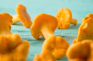 Küçük taze mantar chanterelles tablo görünümü kapatın. Seçici odak. Arka plan hasat.