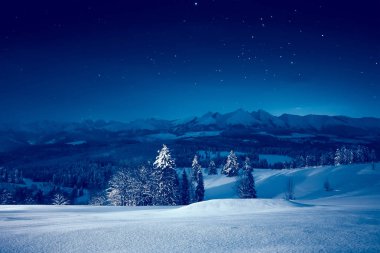 Karlı kış gecesi. Çarpıcı gece manzarası. Karlı dağ ve vadi üzerinden yıldızlarla gökyüzü.
