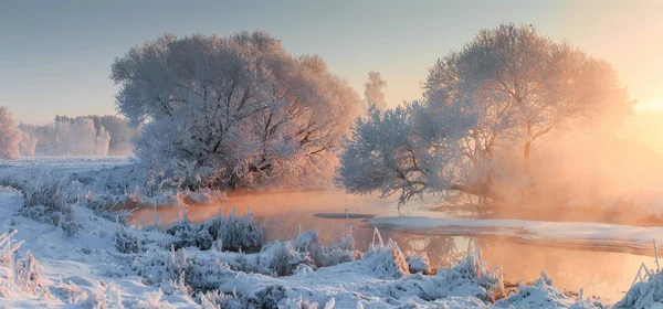 Téli Táj Karácsonyi Háttér Élénk Téli Reggelen Meleg Napfény Hideg — Stock Fotó