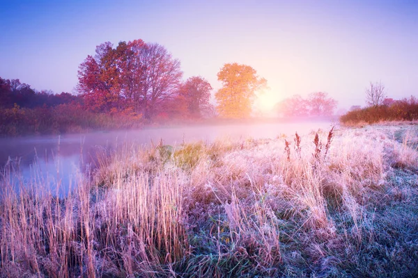 Novemberlandschaft Herbstmorgen Mit Bunten Bäumen Und Raureif Auf Dem Boden — Stockfoto