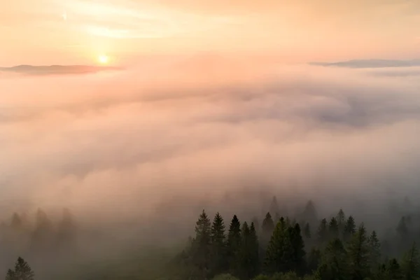 Herbstmorgen Nebel Über Dem Tal Bergen Die Von Der Aufgehenden — Stockfoto