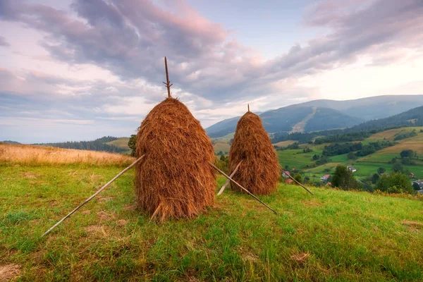 Picturesque Rural Landscape Carpathian Mountains Ukraine Haystacks Green Hill Sunset — Stock Photo, Image