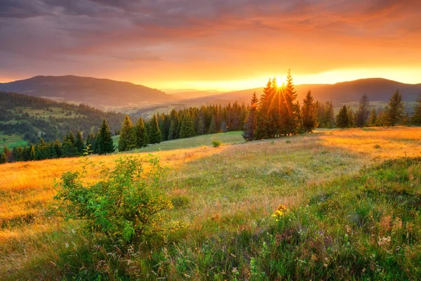 秋天的风景 多彩的秋天自然 风景如画的丘陵和山谷在早晨 鲜艳的日出越过群山 红橙色的天空 秋季背景 乌克兰 — 图库照片