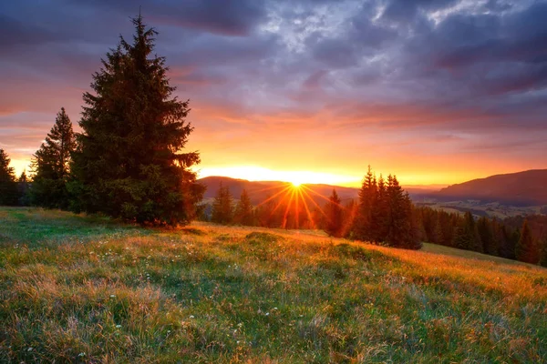 Őszi Táj Színes Sunrise Hegységben Világító Őszi Isaszeg Kárpátok Ukrajna — Stock Fotó