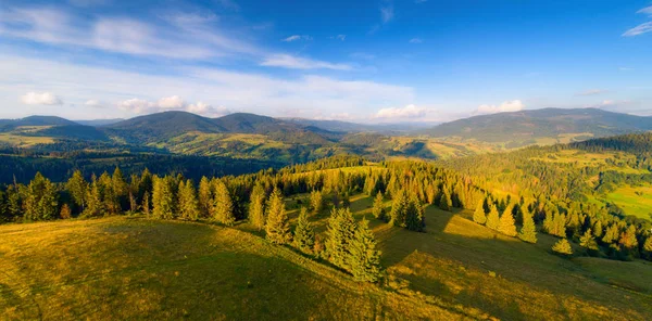 Grüne Berge Hügel Bei Sonnenuntergang Karpatenpanorama Sommer Lebendige Berglandschaft — Stockfoto