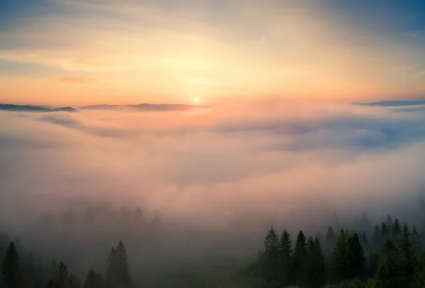Pemandangan Musim Gugur Kabut Pegunungan Pagi Hari Matahari Menerangi Bukit — Stok Foto