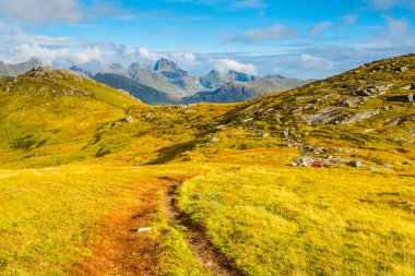 Lofoten Adaları. Norveç. Akşam yeşil tepeler yolda. Norveç açık havada sıcak akşam. Yaz Kuzey manzara.