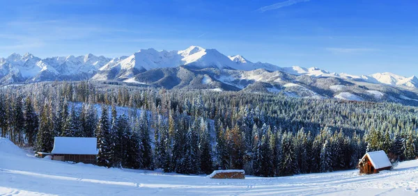 Winterberge Winterlandschaft Winterpanorama Wald Mit Schnee Bedeckt Schneebedeckte Berghügel Morgensonnenlicht — Stockfoto