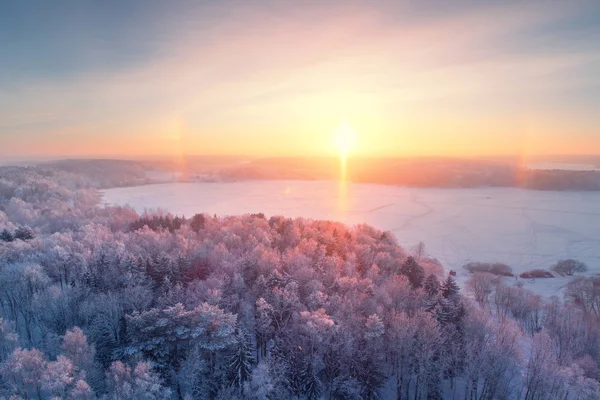 Winter sunrise. Winter forest with frost. Aerial winter landscape. Bright sun illuminates trees with frost. Christmas background.