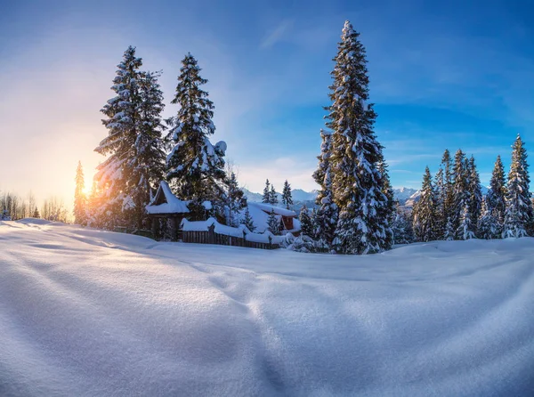 Paisaje Invernal Naturaleza Invernal Montañas Invierno Pinos Cubiertos Nieve Valle — Foto de Stock