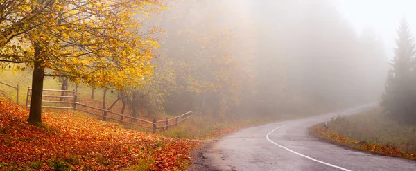 Herfst Landschap Herfst Achtergrond Herfst Panorama Met Weg Gele Boom — Stockfoto