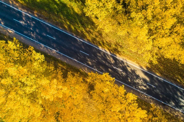 Autumn. Road top view. Travel background. Road in yellow fall forest. Highway on sunny autumn day.