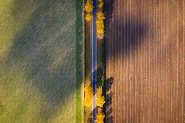 Estrada Queda Cair Fundo Aéreo Cenário Outono Fundo Transporte Árvores — Fotografia de Stock