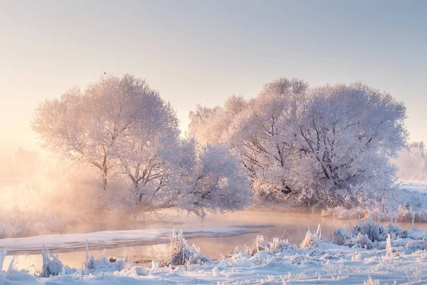 冬の朝の風景 ピンク日光に照らされた霜で覆われた木 雪の降るクリスマス背景 — ストック写真