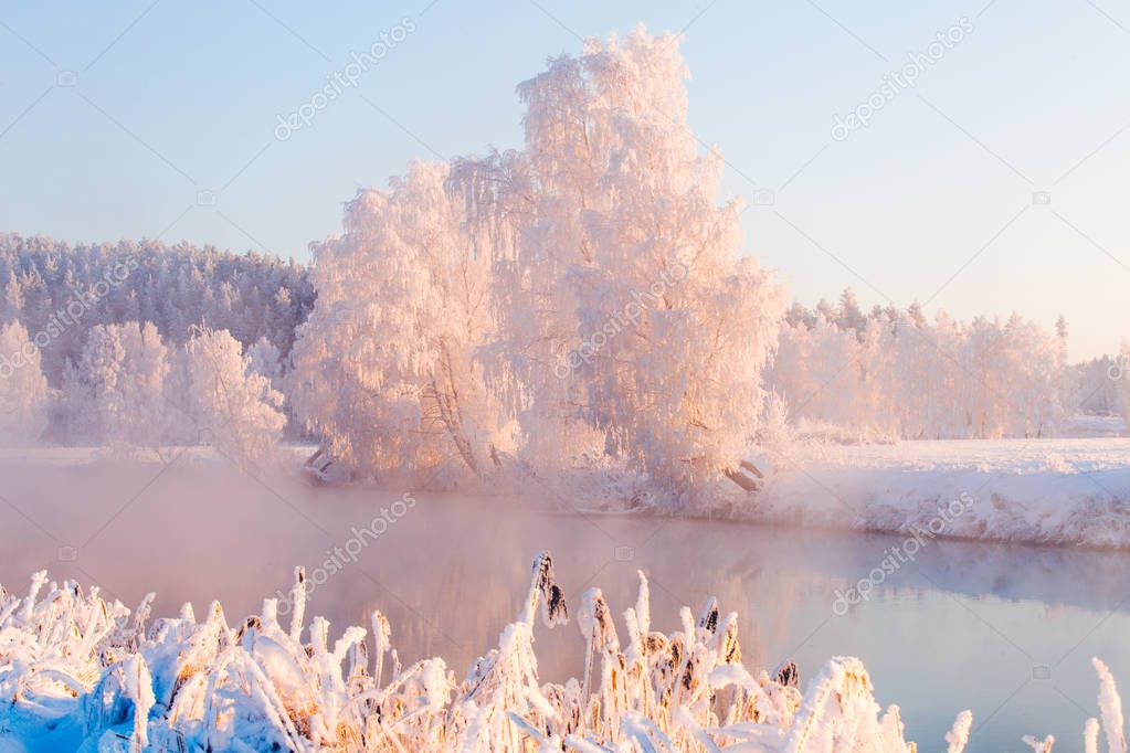 Winter morning landscape. Trees with frost on riversied. Sun illuminates frosty trees and meadow. Beautiful christmas nature.