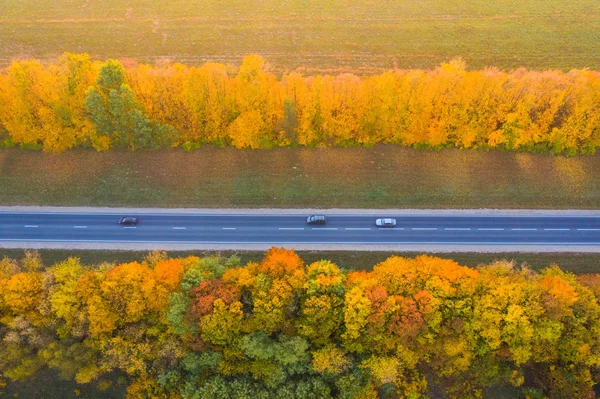 Carretera Con Coches Movimiento Vista Aérea Camino Recto Con Árboles — Foto de Stock