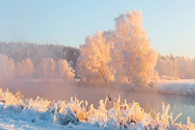 Riversides renkli kış manzarası kar ile kaplı. Güzel kış doğa. Ağaçların dalları güneş pembe ışık şafak hoarfrost ile kaplı.