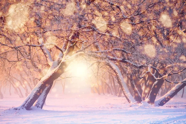 Fondo Navidad Año Nuevo Luces Coloridas Copos Nieve Sobre Fondo — Foto de Stock