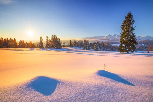 Hiver Fond Naturel Frosty Matin Hiver Dans Les Montagnes Paysage — Photo