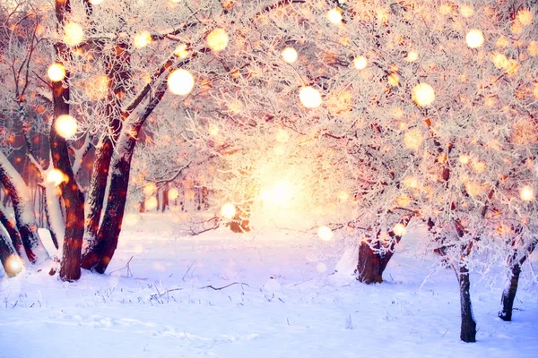 Winterwald Mit Bunten Schneeflocken Schnee Bedeckte Bäume Mit Weihnachtsbeleuchtung Weihnachtswunderland — Stockfoto