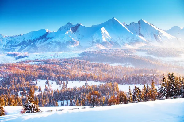 Winterberglandschaft Klarer Blauer Himmel Über Schneebedeckten Berggipfeln Einem Frostigen Morgen — Stockfoto