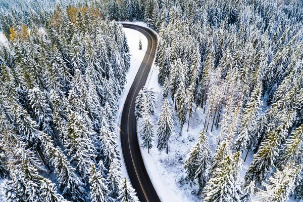 Nuevo Camino Bosque Invierno Vista Autopista Desde Arriba Camino Las — Foto de Stock